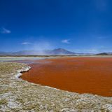 ... auch auf dem Salar de Surire. 
