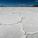 Wunderschön anzusehen sind die Salzwaben auf dem Salar de Coipasa, dem zweitgrössten Salzsee der Welt. 
