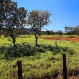 Typisches Landschaftsbild in Mato Grosso - Rote Erde und saftig grüne Landschaft bei strahlend blauem Himmel.
