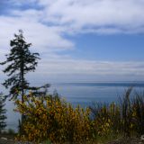 Unser erster Tag auf Vancouver Island. Dies ist übrigens einer unserer 3 Schlechtwetter-Tage. 
