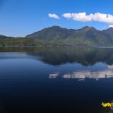 Auf dem Weg nach Tofino fahren wir am Kennedy Lake vorbei. 
