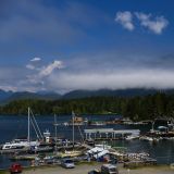 Tofino - hier starten wir unseren Whale Whatching Trip.
