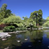 Stadtpark in Victoria, der Hauptstadt von British Columbia.
