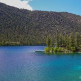 Dieser Inselbewohner am Pavilion Lake hat sich ein kleines Paradies geschaffen.
