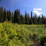Wells Gray Provincial Park
