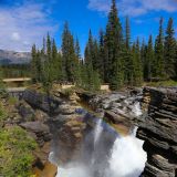 Die Athabasca Falls auf dem Icefield Parkway lohnen den kurzen Abstecher.
