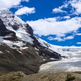 Auf Passhöhe zeigt sich einem der Athabasca Gletscher. 
