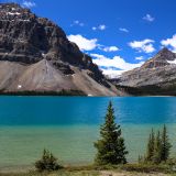 Lässt sich auch sehen, der Bow Lake. 
