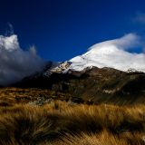 ... mit Blick auf den schneebedeckten Vulkan Cayambe.
