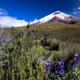 Vulkan Cotopaxi
