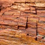 ... und man kann immer noch die feine Struktur des Holzstammes erkennen.
