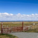 Kleine Schafsfarm in Tierra del Fuego.
