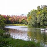 Im Alexander Springs State Park darf man trotz der Alligatoren baden gehen (was Roger auch getan hat...). Manche ziehen es aber vor, die Gegend mit dem Kanu zu entdecken.
