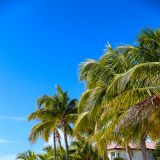 Doch das müssen wir nicht. Auf Key-West gibt es genügend Karibik-Feeling der Superlativen.
