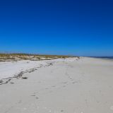Auf St. George Island verbringen wir die Weihnachtstage. Wir schlendern dem Strand entlang ...
