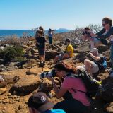 Die Gruppe im Fotofieber. (Insel North Seymour)
