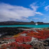 Die Angelito liegt vor Anker bei der Insel Chinese Hat. 
