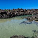 Insel Genovesa
