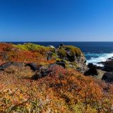 Die Insel Española ist die südlichste von Galápagos. 
