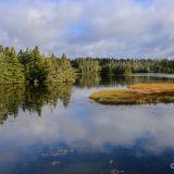 Kanada wie man es sich vorstellt, Seen und Wälder. 
