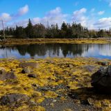Der Küste entlang nordwärts von Nova Scotia. 
