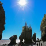 Bei den Hopewell Rocks im Fundy Bay N.P.
