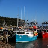 Im kleinen Dorf Alma stehen die Boote bereit zum Auslaufen für den Lobster Fang. Übrigens hier bei Flut...
