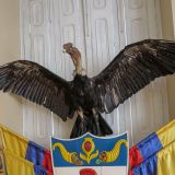 Flagge der Kolumbianischen Armee mit einem Kondor.
