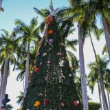 Weihnachtlich geschmückter Dorfplatz in El Fuerte.
