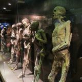 Etwas makaber, aber trotzdem sehr toll gemacht die Mumien-Ausstellung. 
