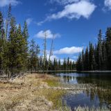 Einer unserer schönen Übernachtsungsplätze im Gebiet der Cascades Lakes. 
