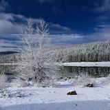 Unser hart erkämpfte Schlafplatz am Clear Lake, nach dem abendlichen Schneegestöber. 
