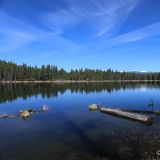 Lake Shepherd

