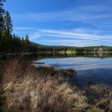 Lake Shepherd
