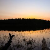 Und nochmals der Lake Shepherd, weil er uns so gut gefallen hat. 
