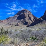 Landschaft beim Ross Maxwell Scenic Drive.
