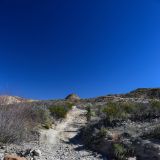 Auf geht's zur Black Gap Road, dem 4x4 Track im Big Bend N.P..
