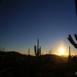 Ein wunderschöner Tag im Saguaro National Park neigt sich dem Ende entgegen ...
