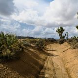 Der Weg führt in Bachbetten mit zeitweise meterhohen Seitenwänden.

