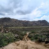 Der Weg entlang der Mojave Road wird nicht mehr unterhalten. So kommt es vor, dass einige Pisten extrem buckelig sind. 
