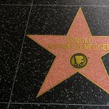 Ob als Terminator oder als Gouverneur von Kalifornien - Arnold Schwarzenegger hinterlässt seine Spuren.
