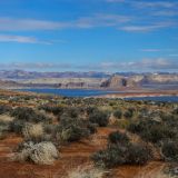 Blick auf den Stausee Lake Powell.
