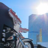 Auch die Wild Hogs sind hier vertreten.

