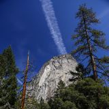 Yosemite NP
