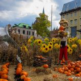 Herbst ist Kürbis- und Halloweenzeit, ebenfalls in Québec. 

