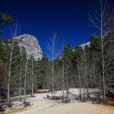 Yosemite NP
