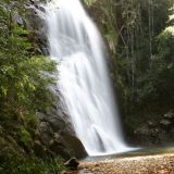 Wasserfall am Ende einer 2-stündigen Wanderung durch den Regenwald vom "Wilson River Reserve". 
