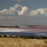 Ein Salzsee auf dem Weg nach Adelaide. Welche Chemikalien diesem See wohl das leuchtende rosa verliehen haben?
