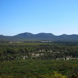 Ausblick vom "Wangarra Lookout" über das Becken des Wilpena Pound.
