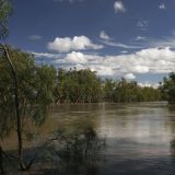 Die Lebensader Australiens, der Murray River - hier mit Hochwasser.

